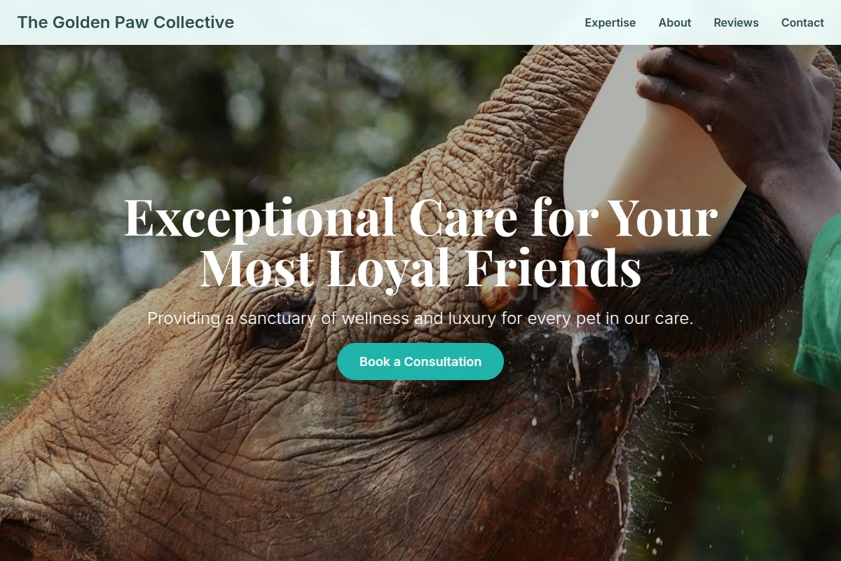 Bowl Animal Care