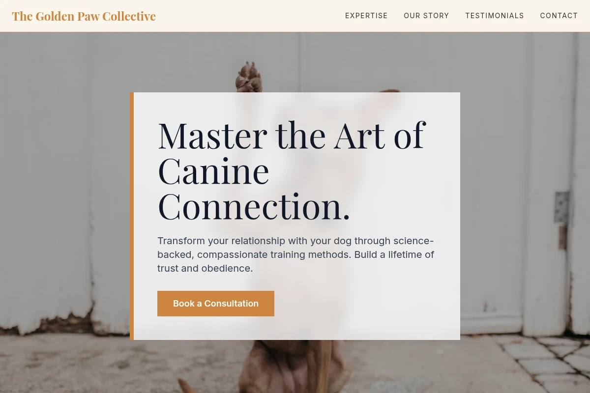 Certified Dog Training